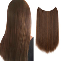 Chestnut Brown 2